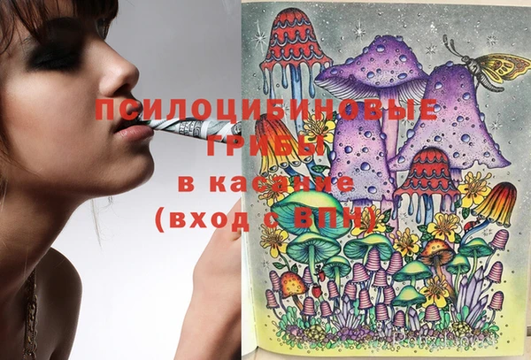 прущая мука Бронницы