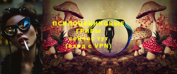 прущая мука Бронницы