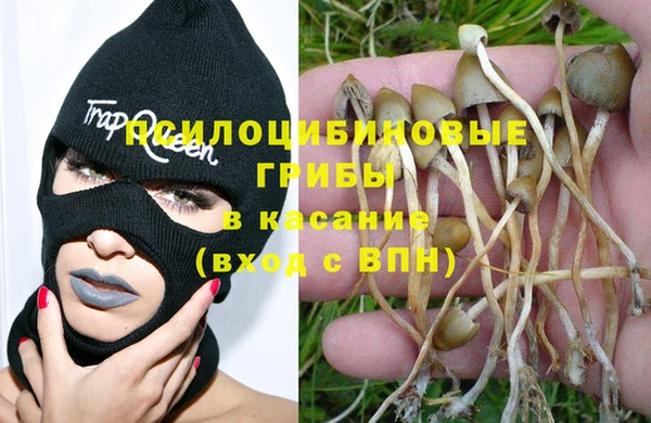 прущая мука Бронницы