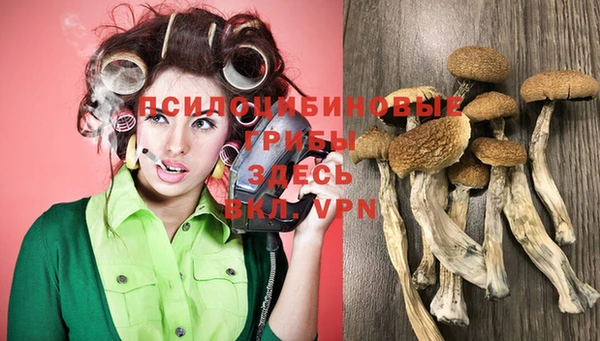 первитин Бородино