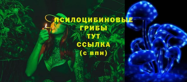 первитин Бородино