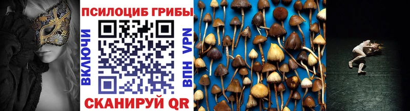 Галлюциногенные грибы Cubensis цена Мелеуз